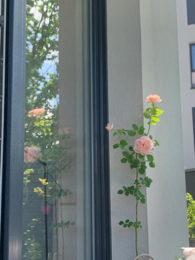 Garden Apartment Self Check-In - Bezkluczowy Dostep W 10 Minut O Kazdej Porze Cracovia Esterno foto